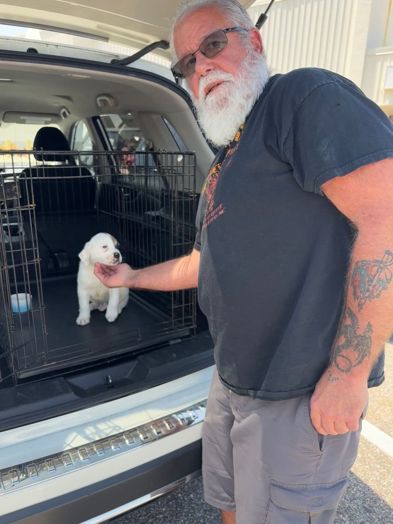 Pet travel photo 6