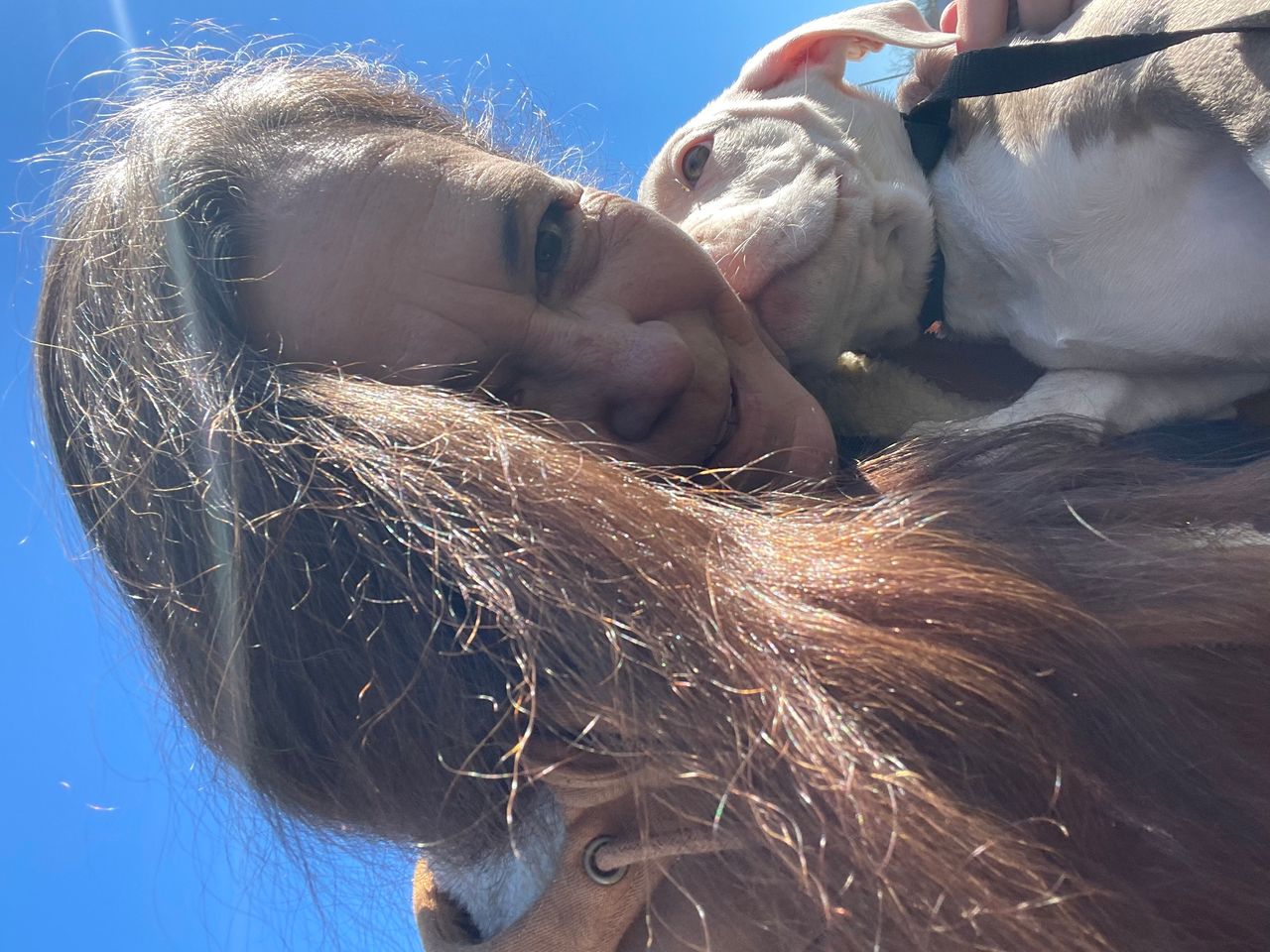 Pet travel photo 2