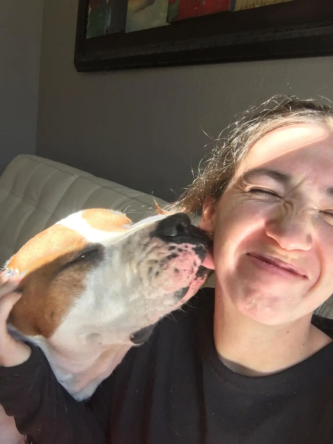 Pet travel photo 4