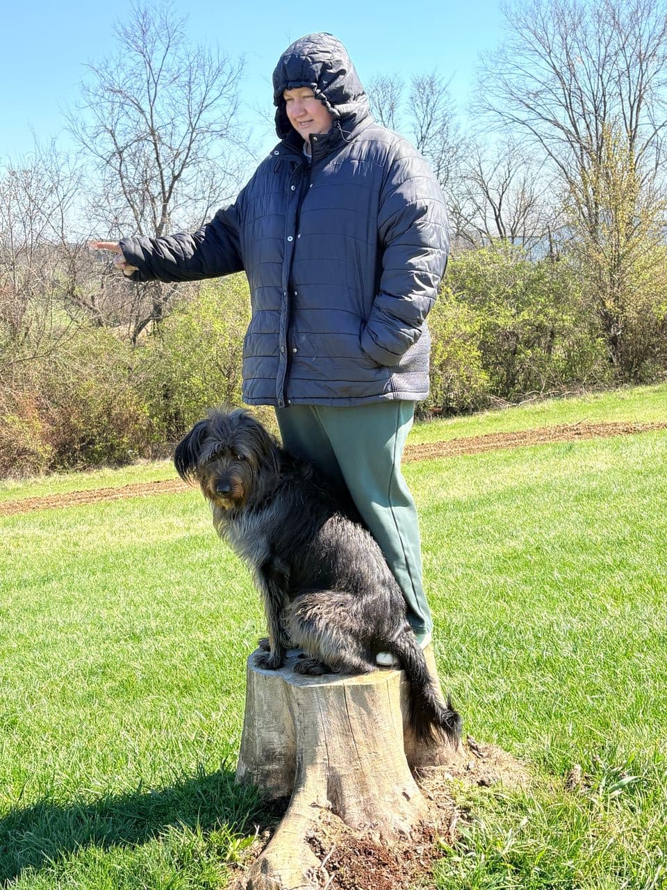 Pet travel photo 1