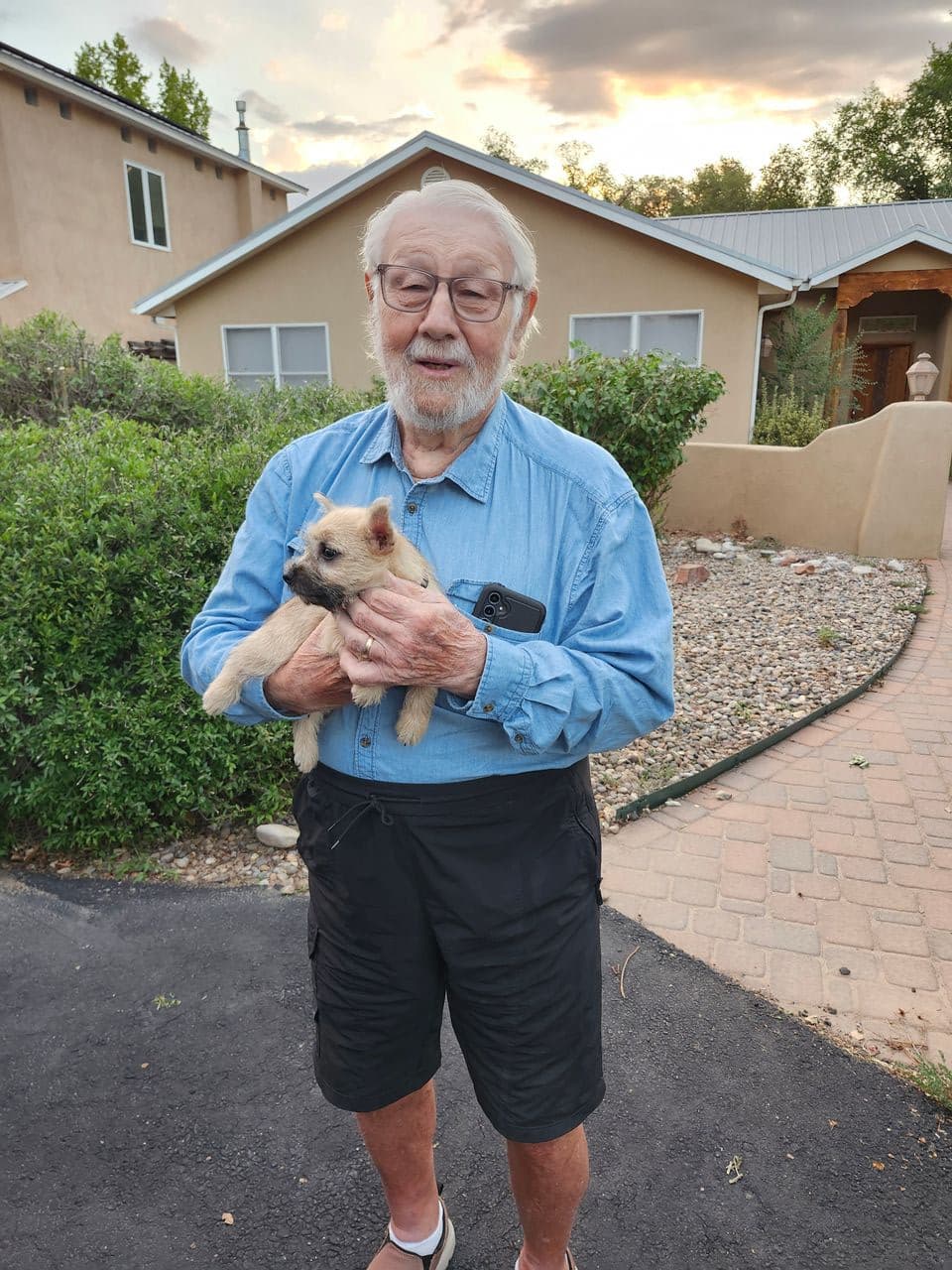 Pet travel photo 3