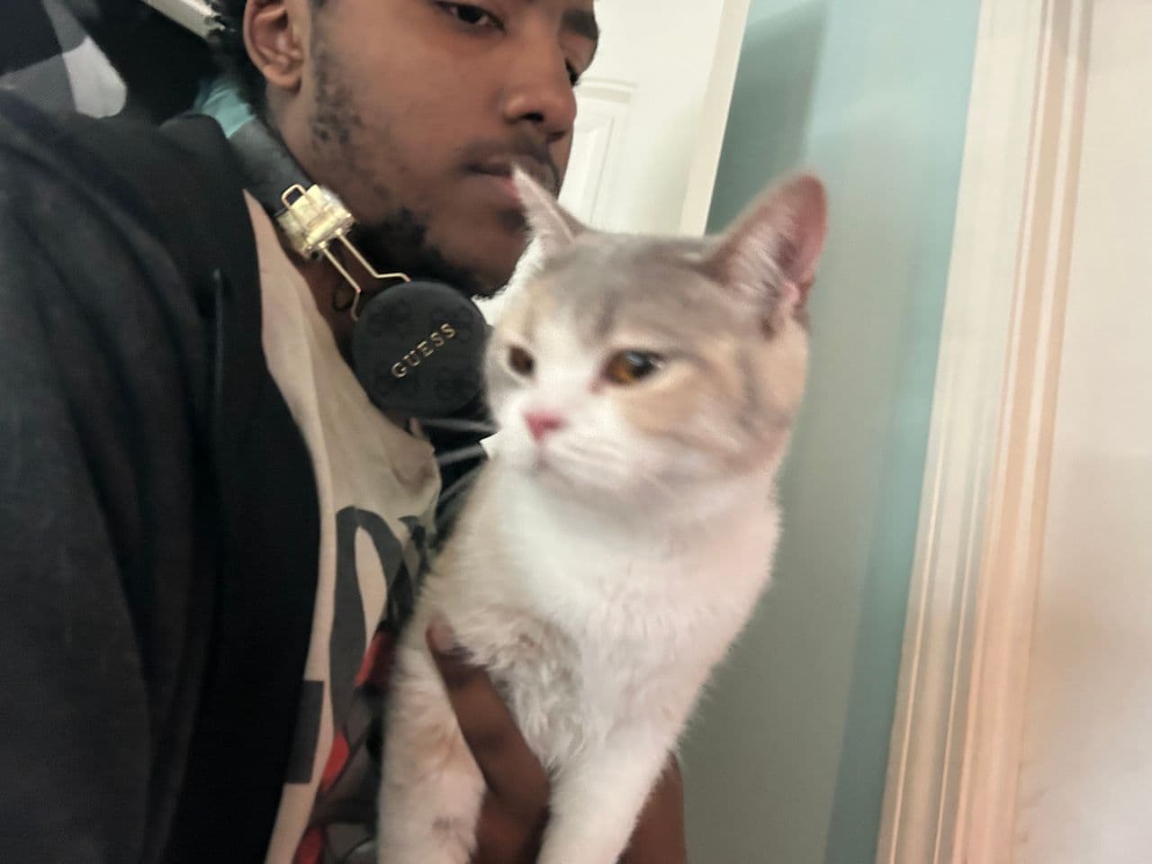 Pet travel photo 3
