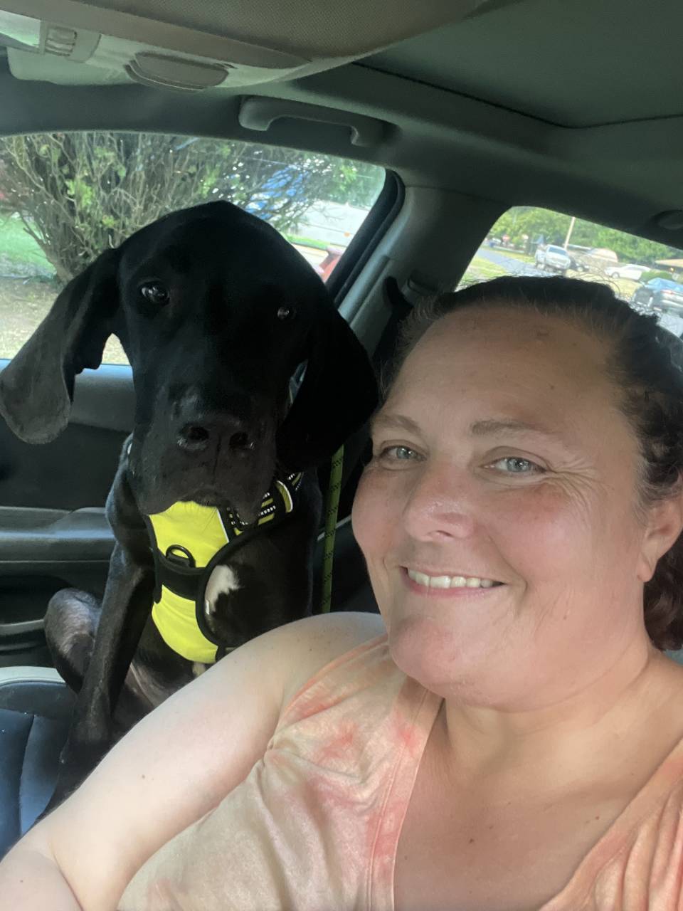All 4 Our Paws Transport