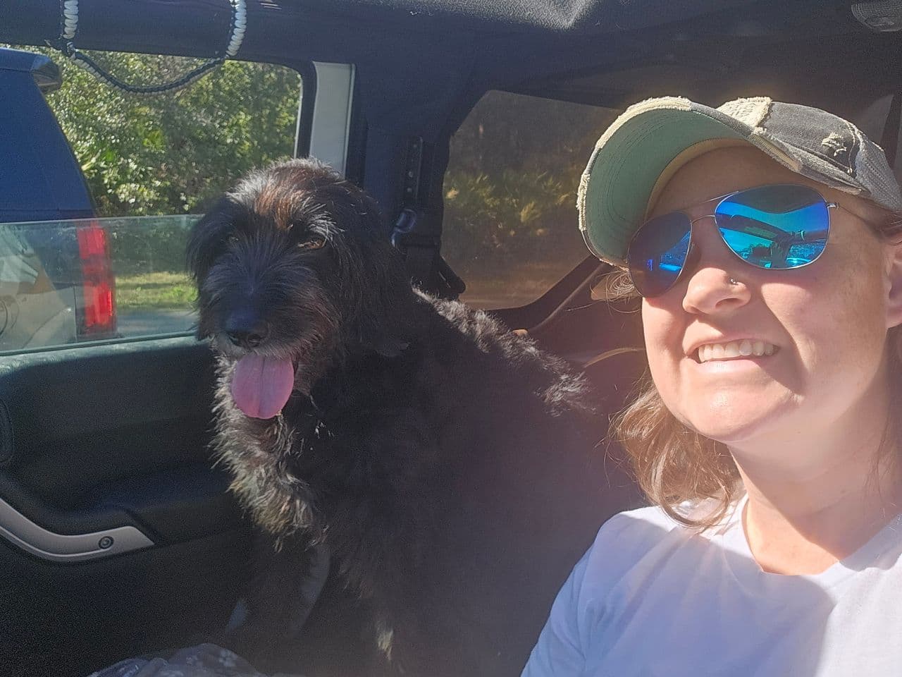 Pet travel photo 2