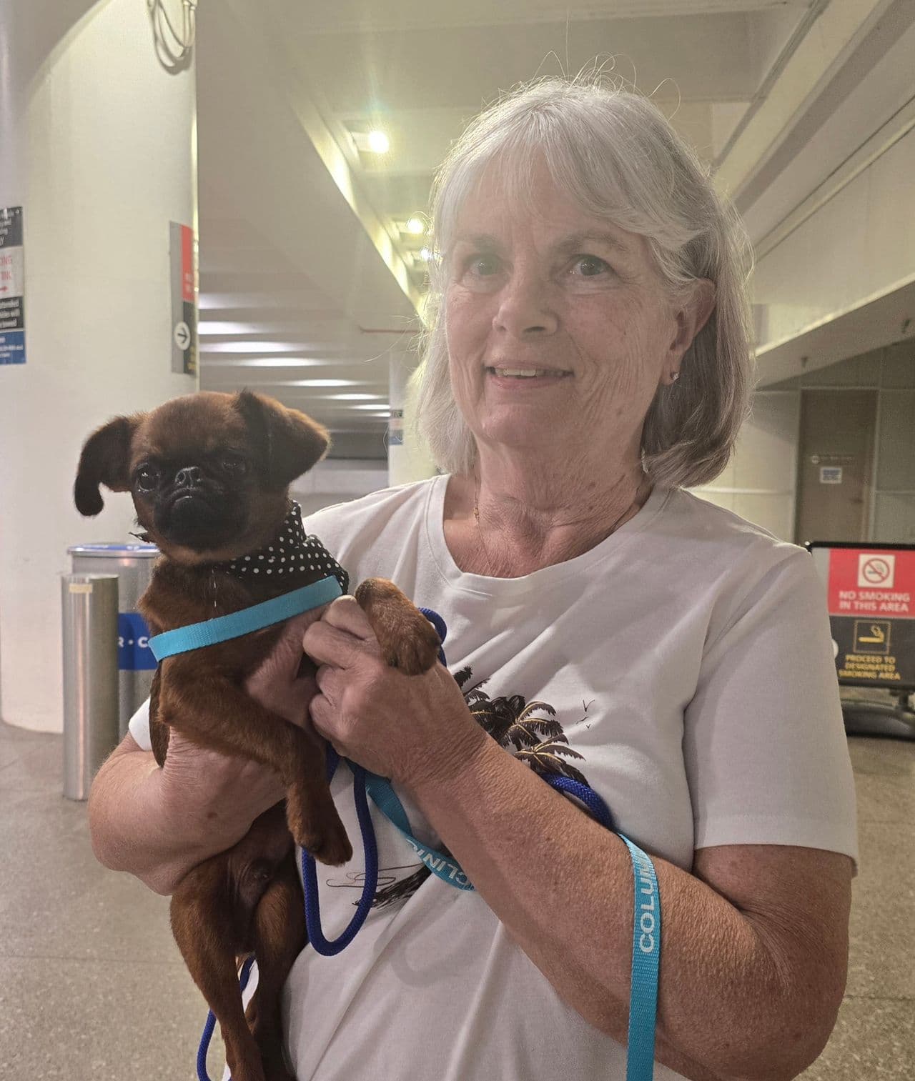 Pet travel photo 4