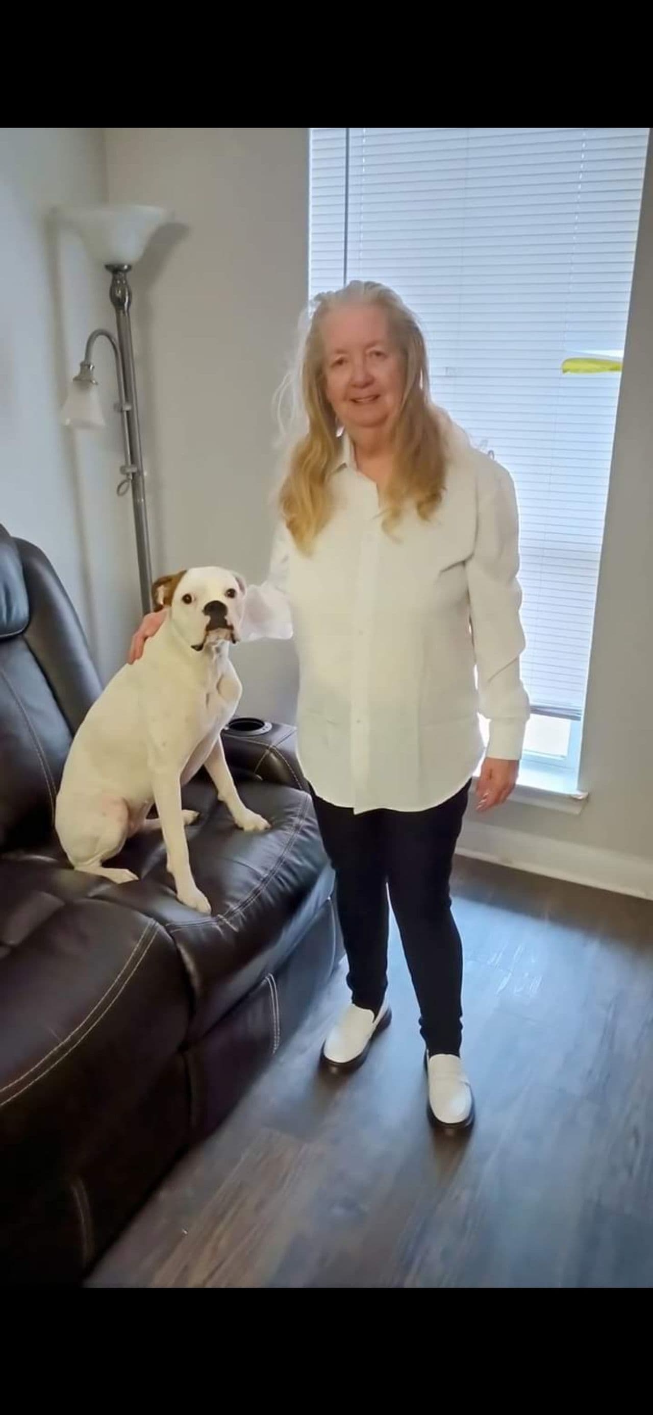 Pet travel photo 1