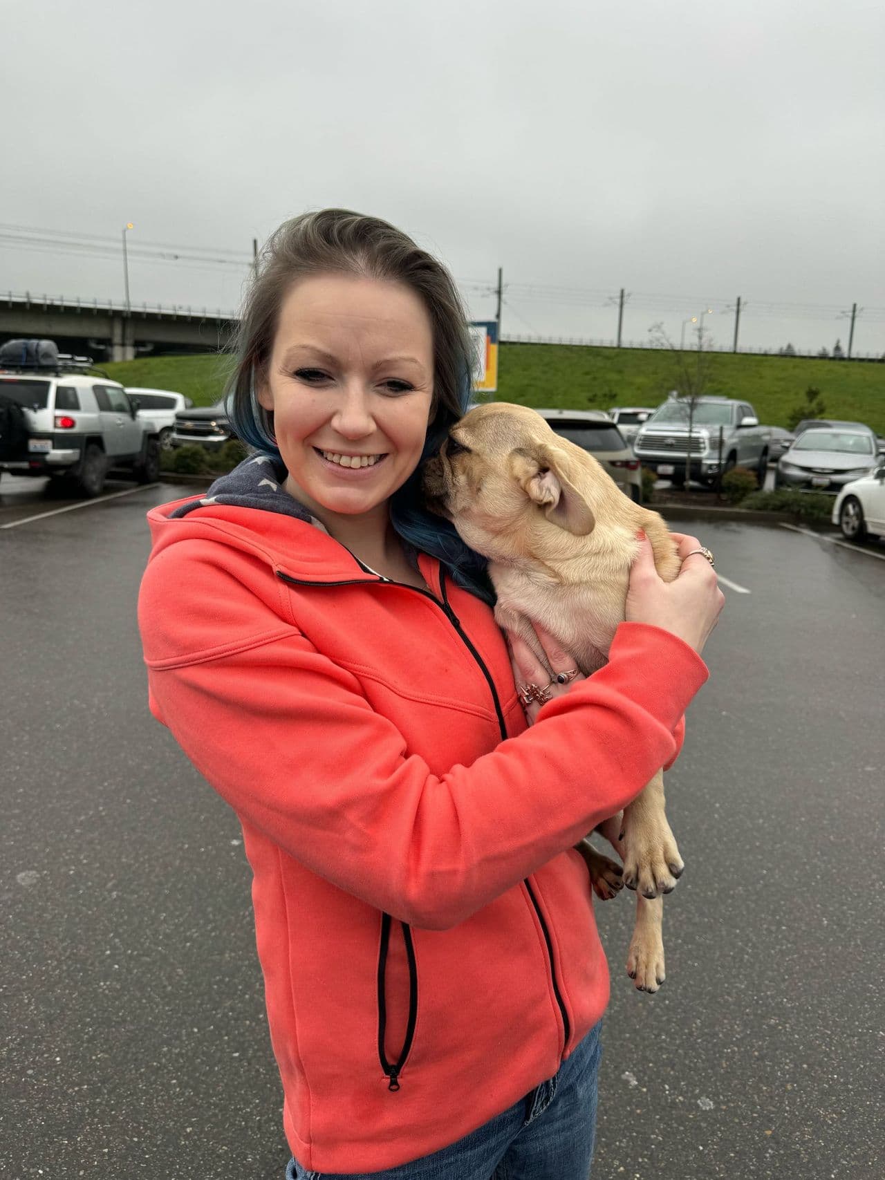 Pet travel photo 1