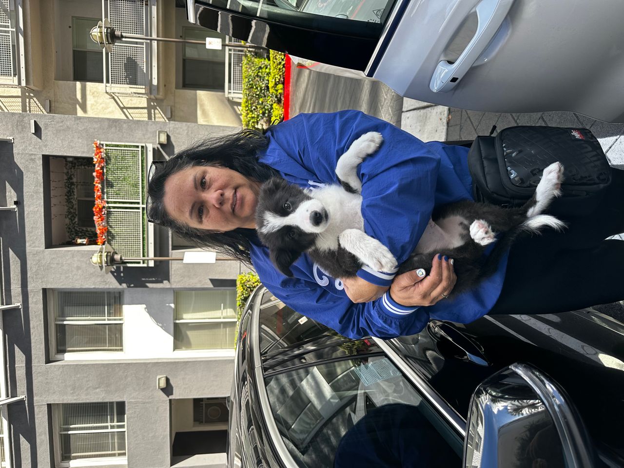 Pet travel photo 2