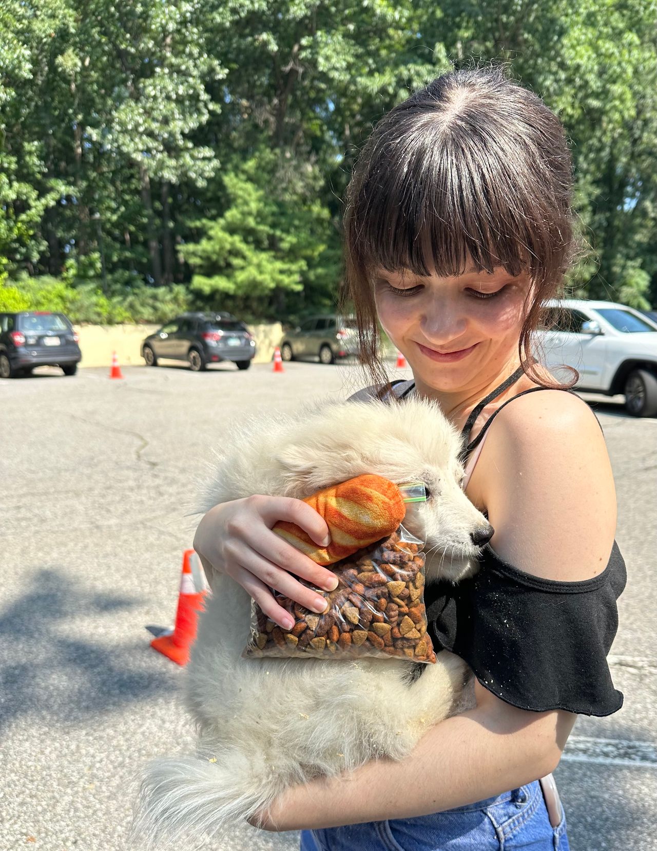 Pet travel photo 3