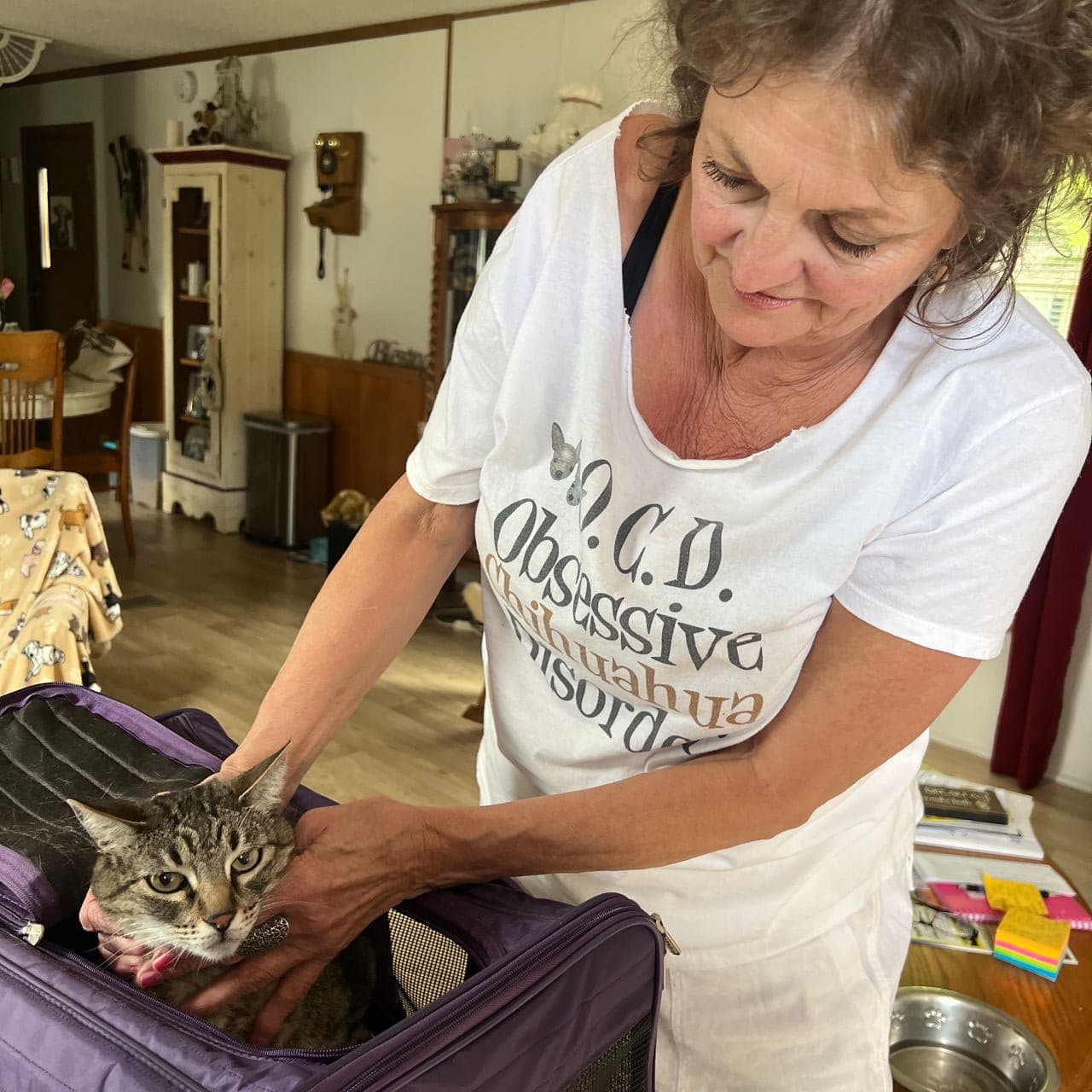 Pet travel photo 3
