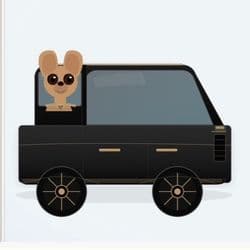 Sitting Pretty Dog Transport