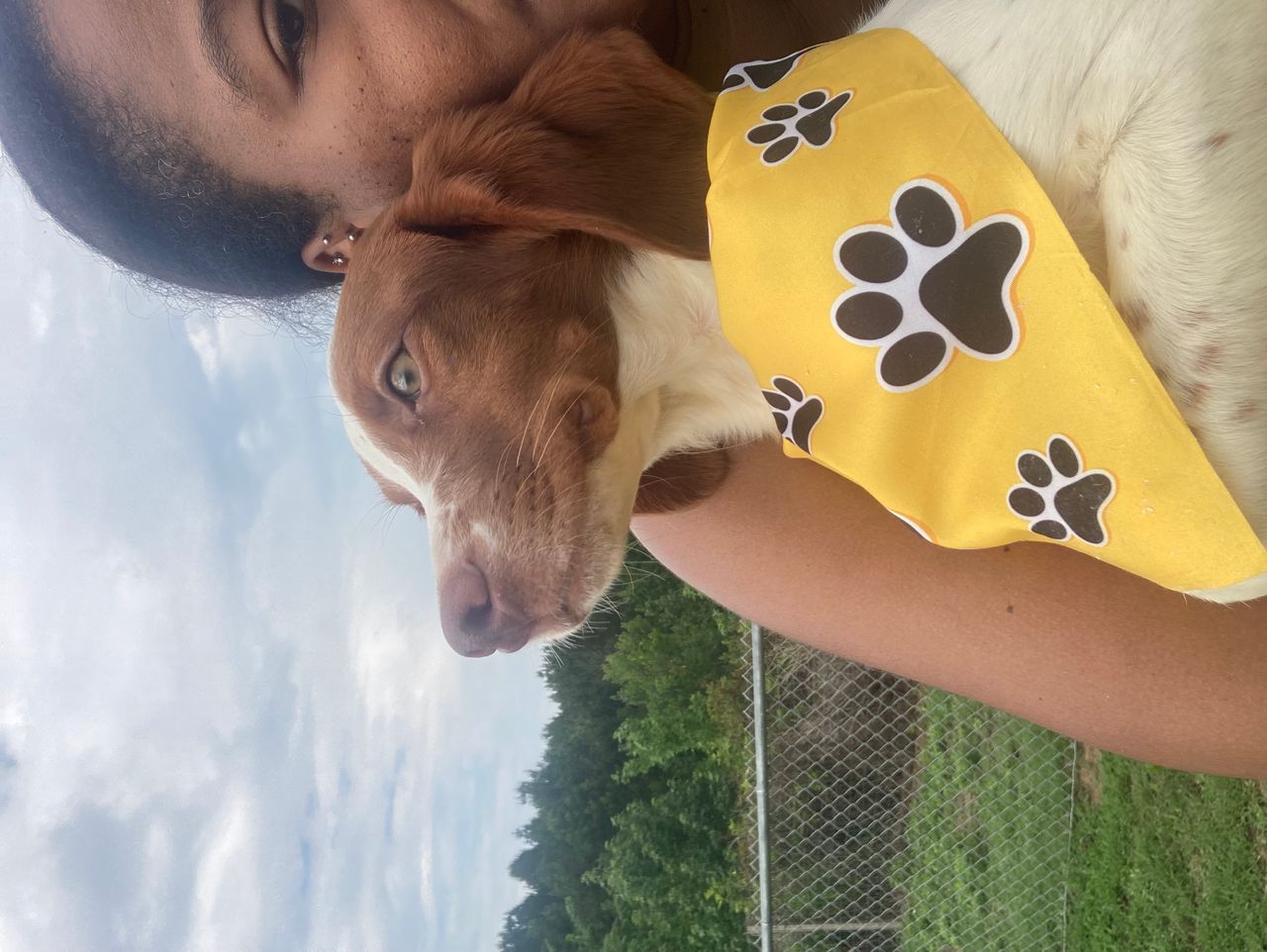 Pet travel photo 4