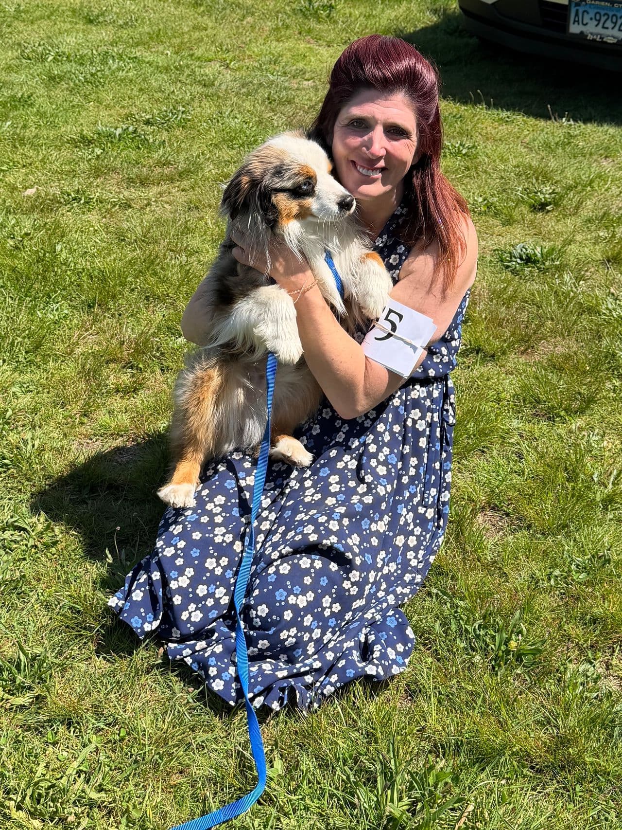 Pet travel photo 3