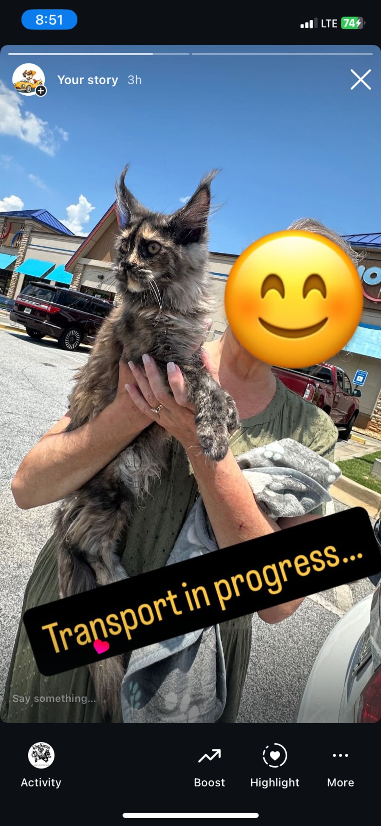 Pet travel photo 4
