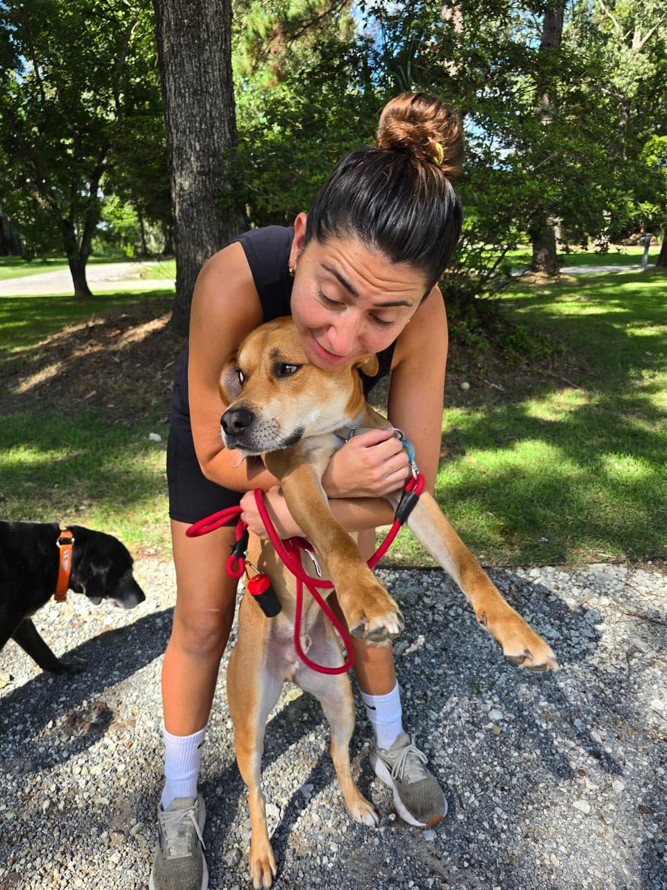 Pet travel photo 1