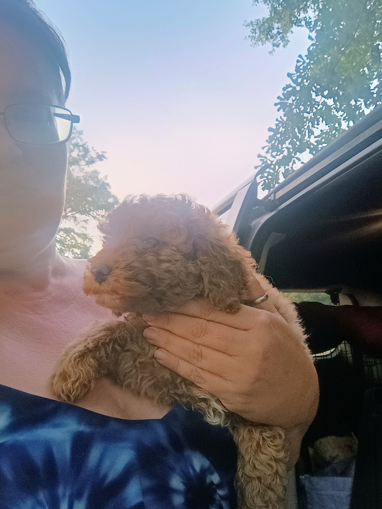 Pet travel photo 3