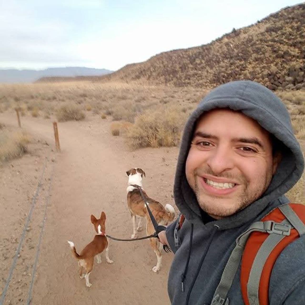 Pet travel photo 5