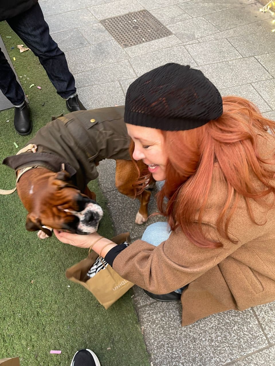 Pet travel photo 1