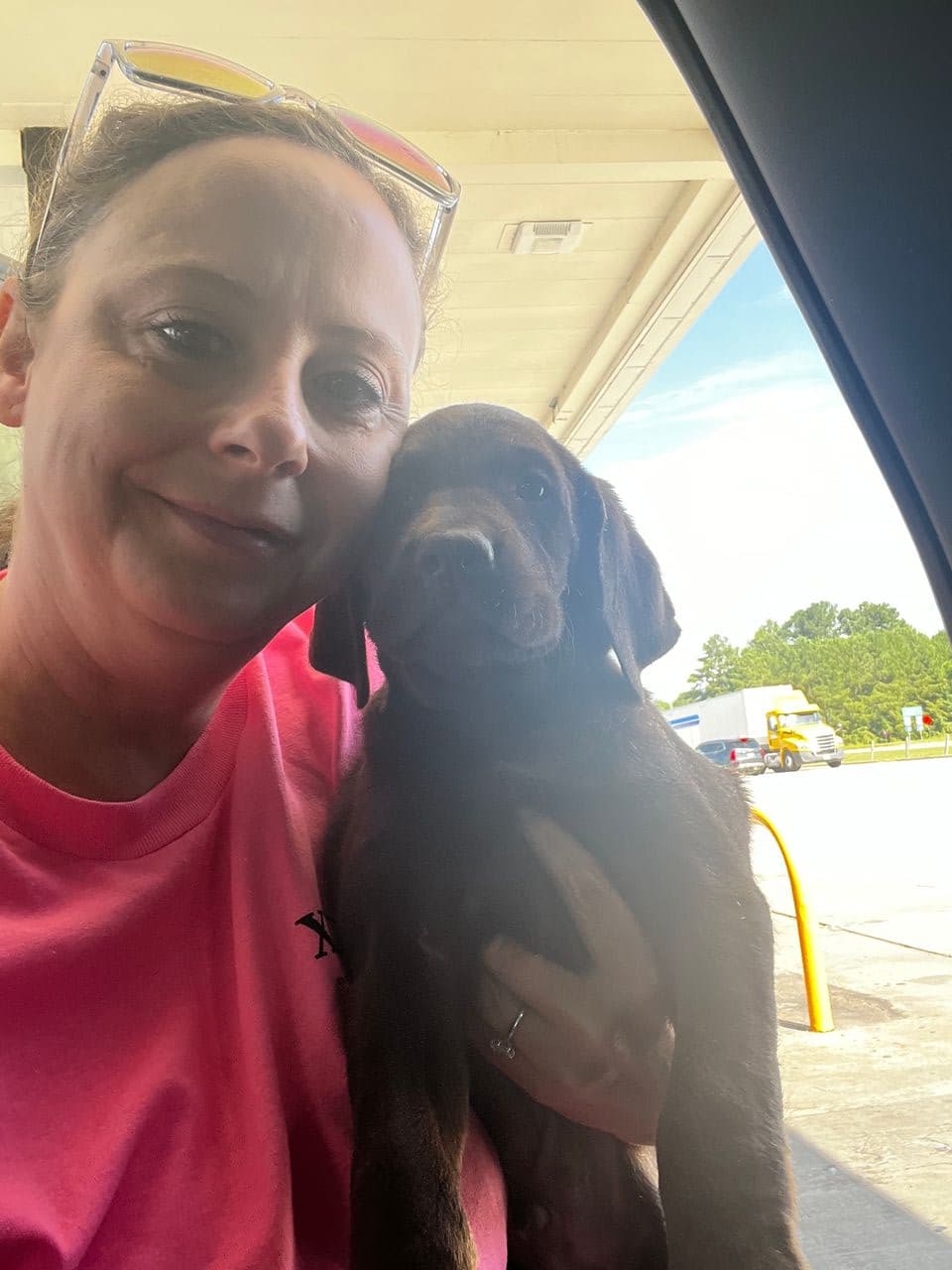 Pet travel photo 2