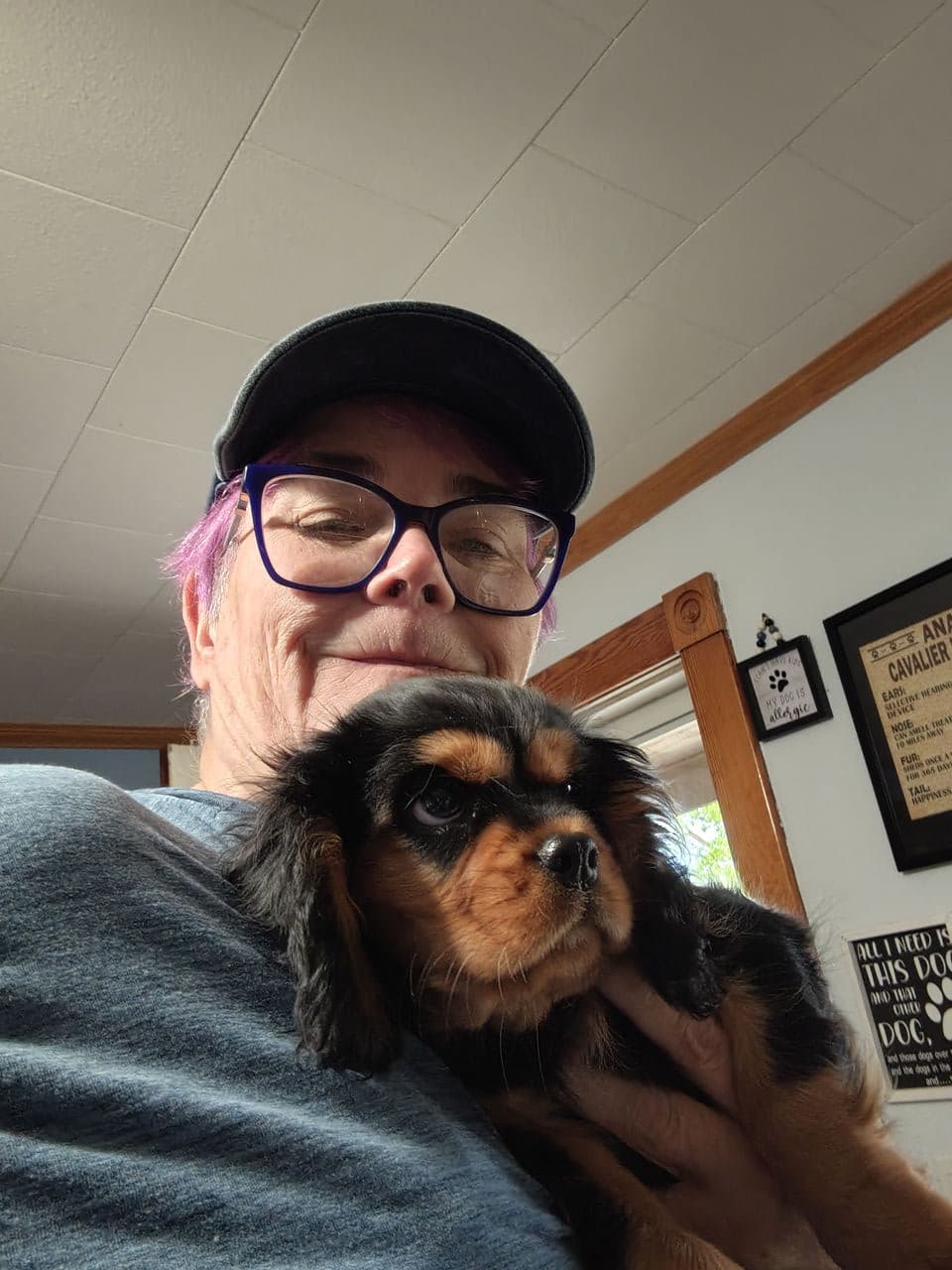 Pet travel photo 4