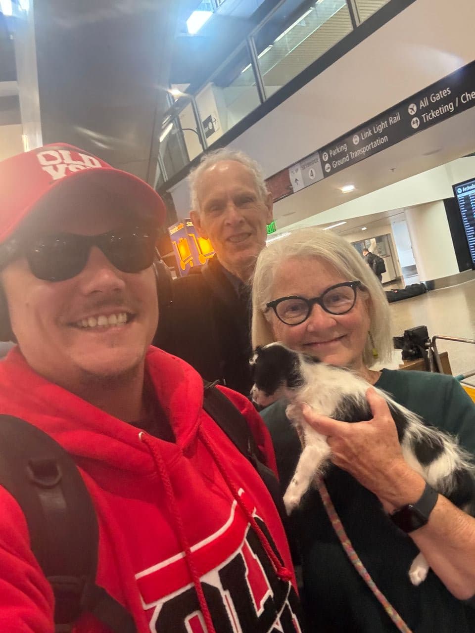 Pet travel photo 2
