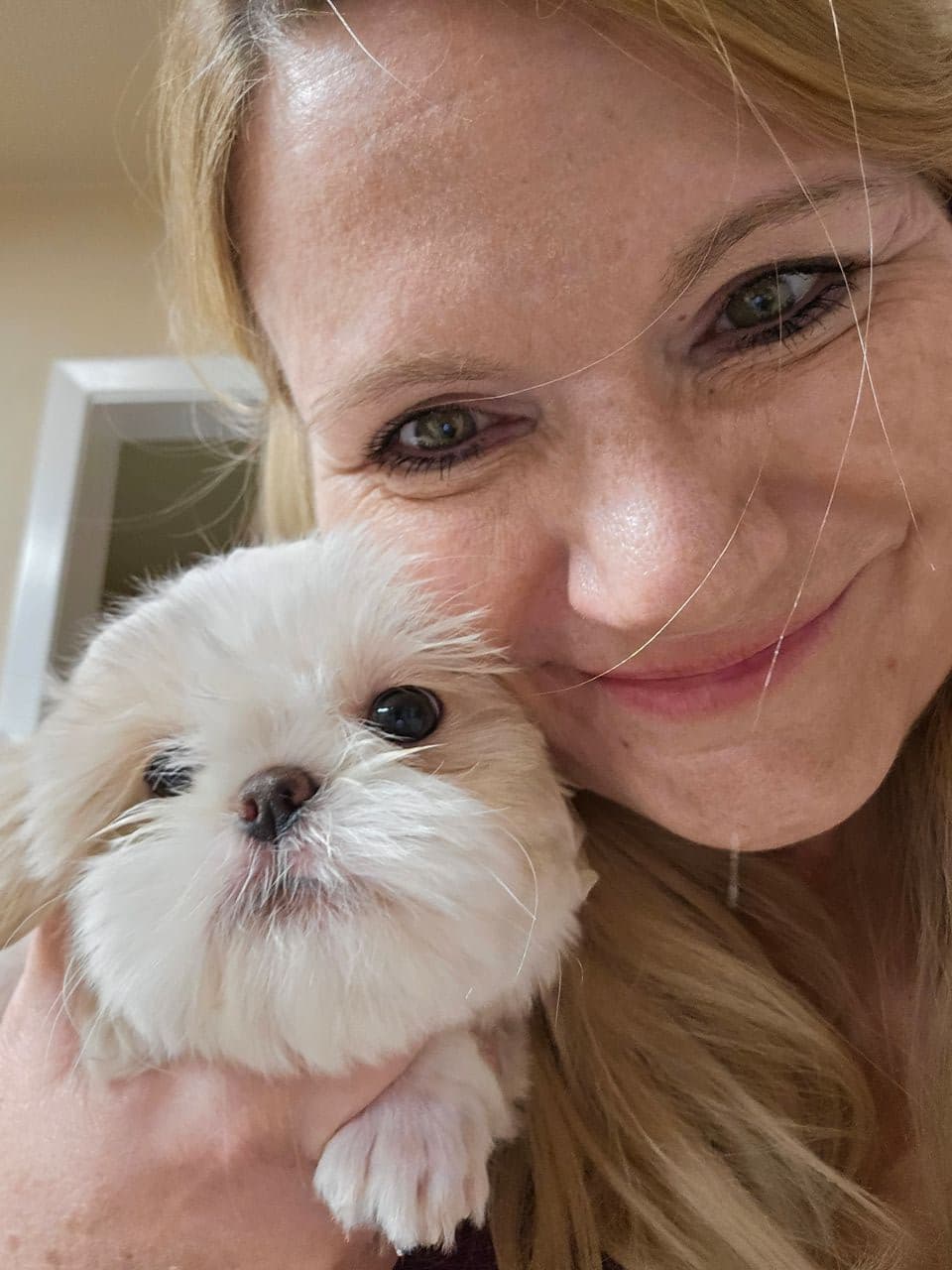 Pet travel photo 5