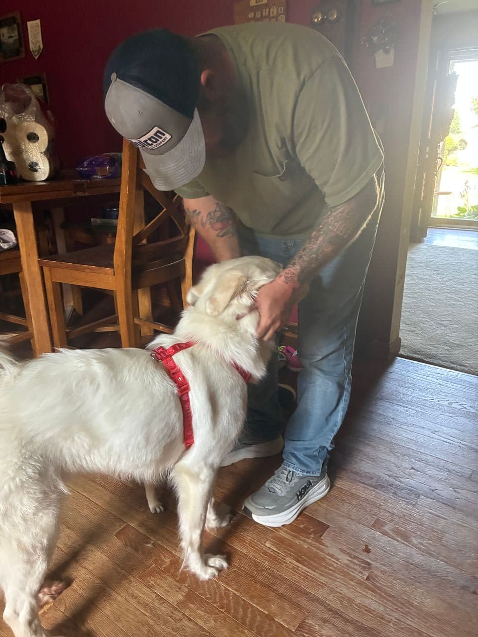 Pet travel photo 3