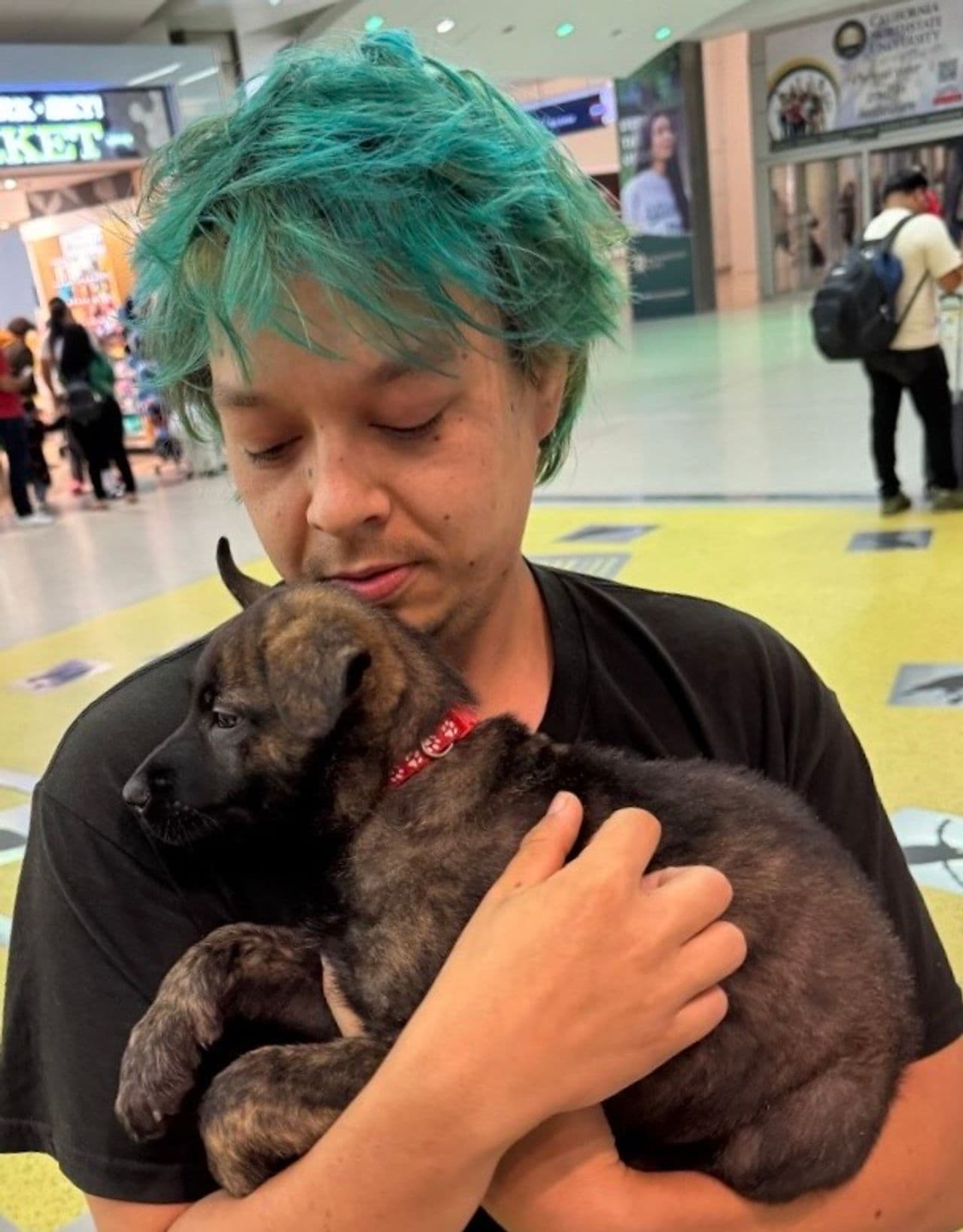 Pet travel photo 3