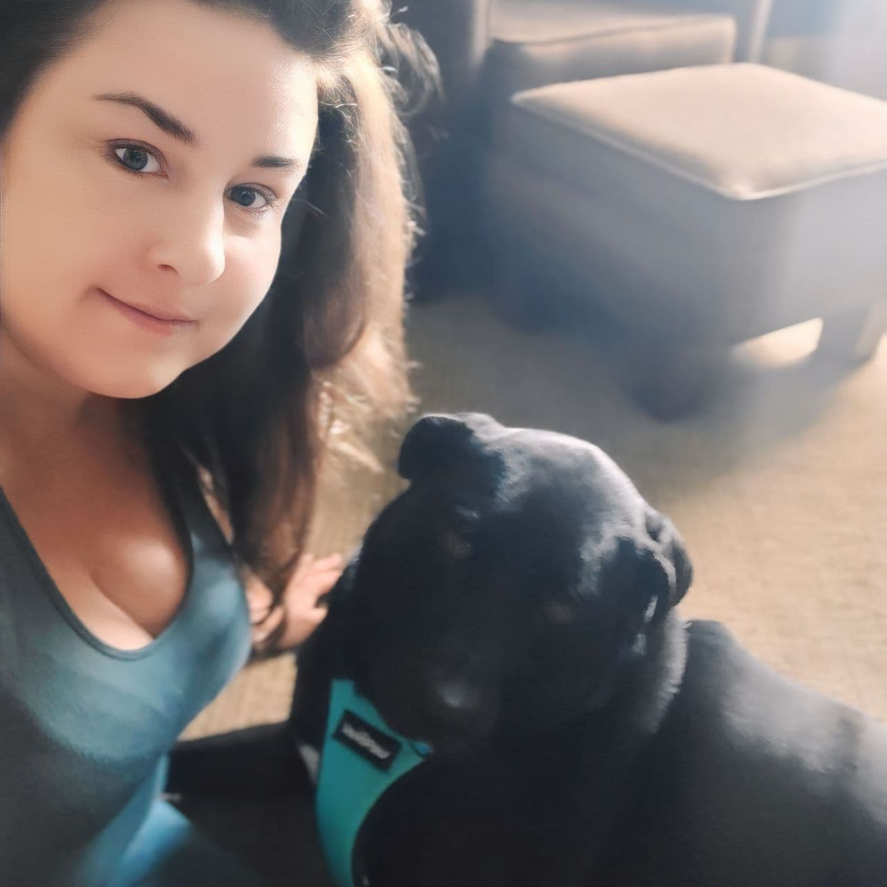 Pet travel photo 5