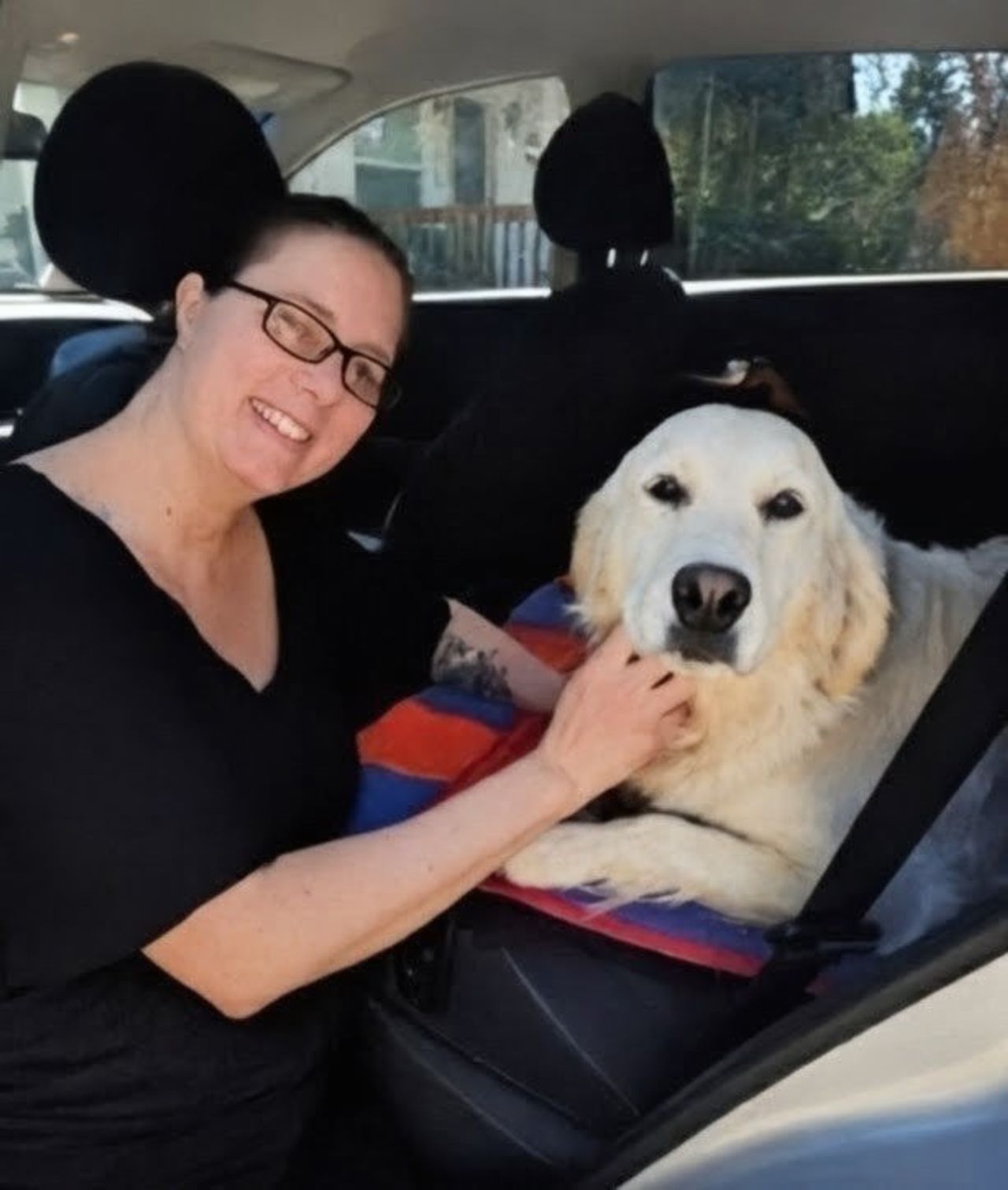 Pet travel photo 6