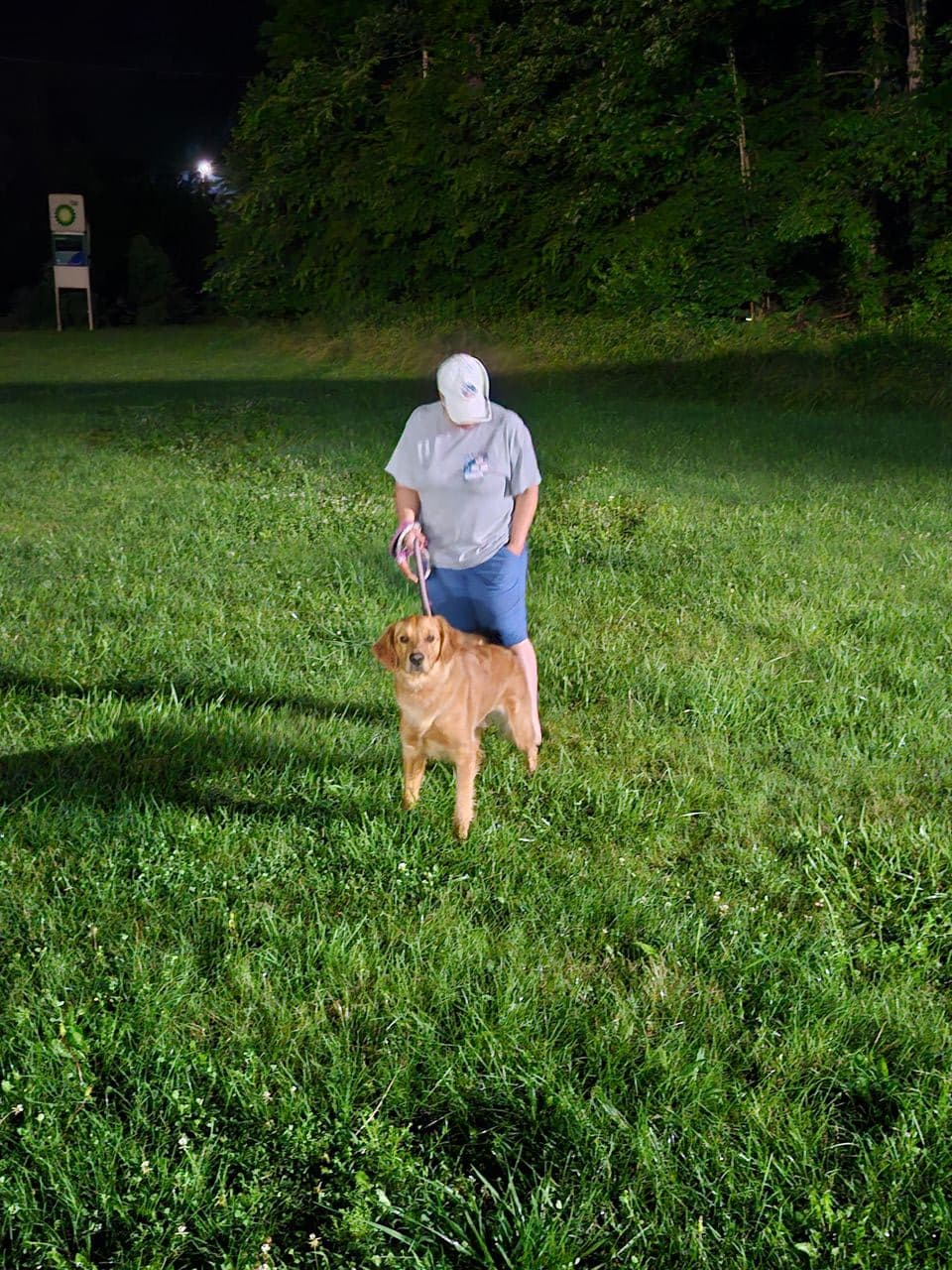 Pet travel photo 3