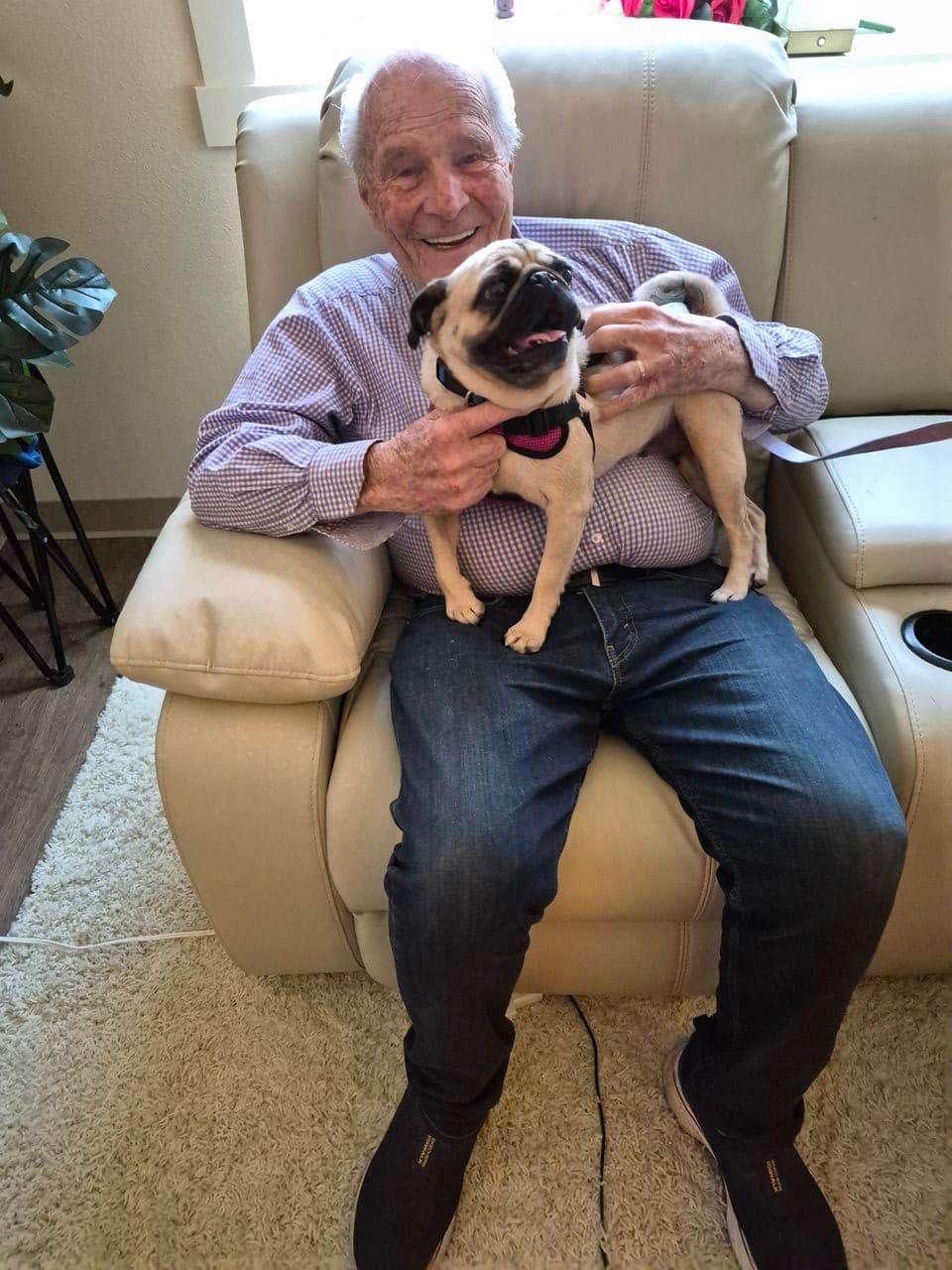 Pet travel photo 5