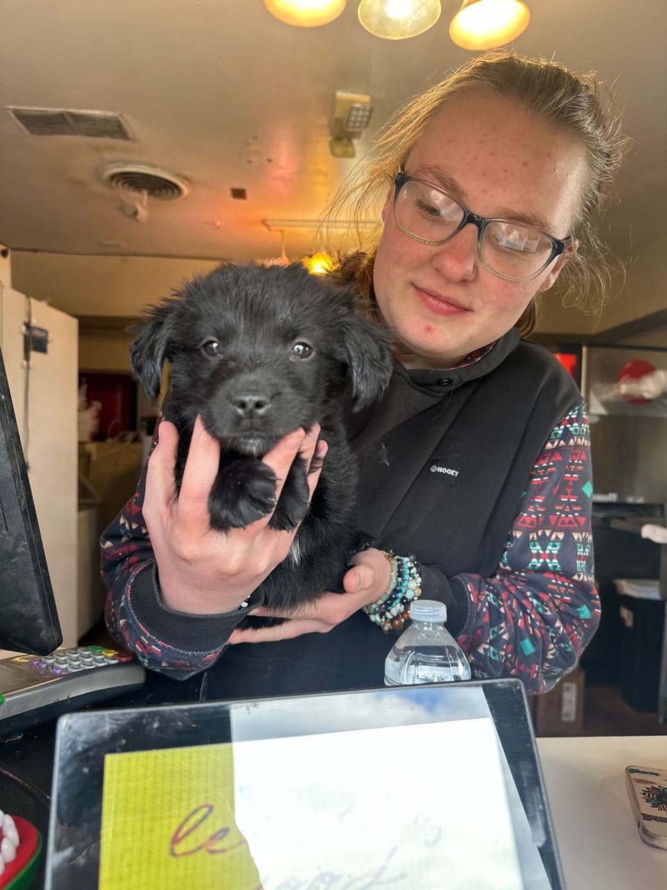 Pet travel photo 4