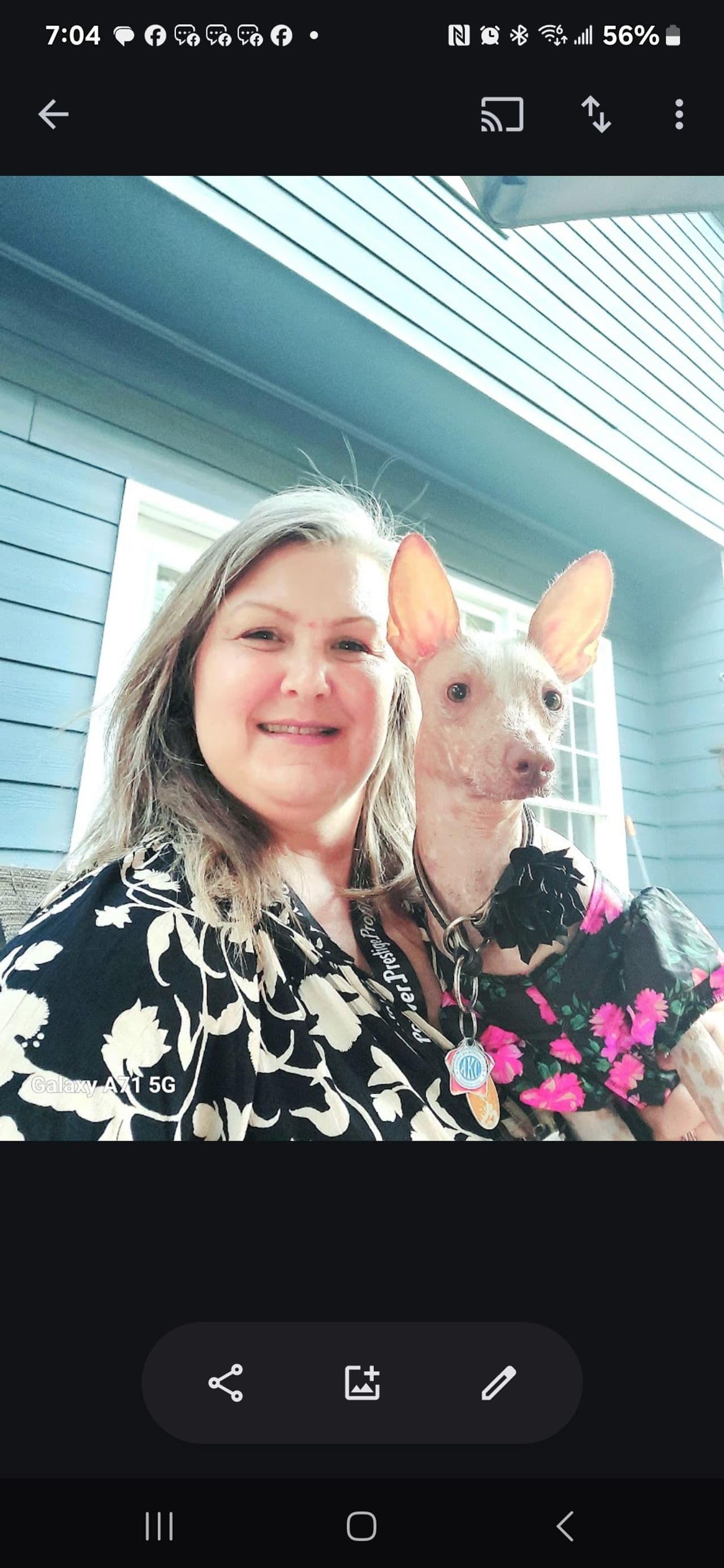 Pet travel photo 6