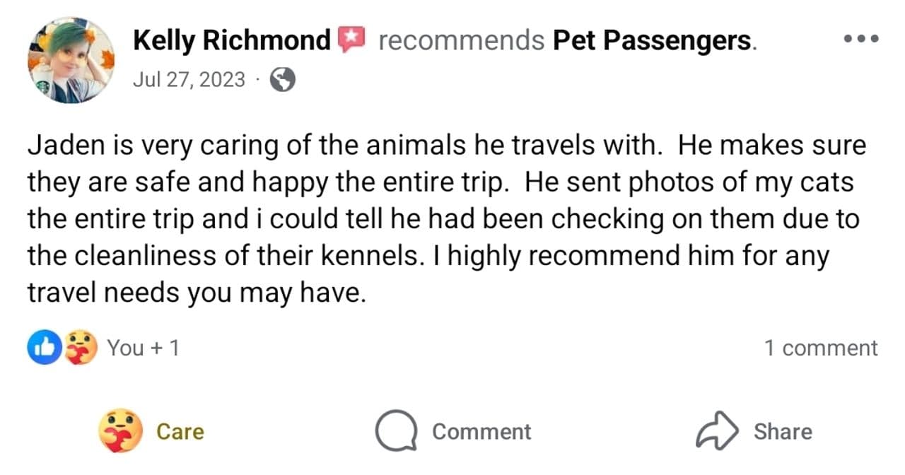 Pet travel photo 4