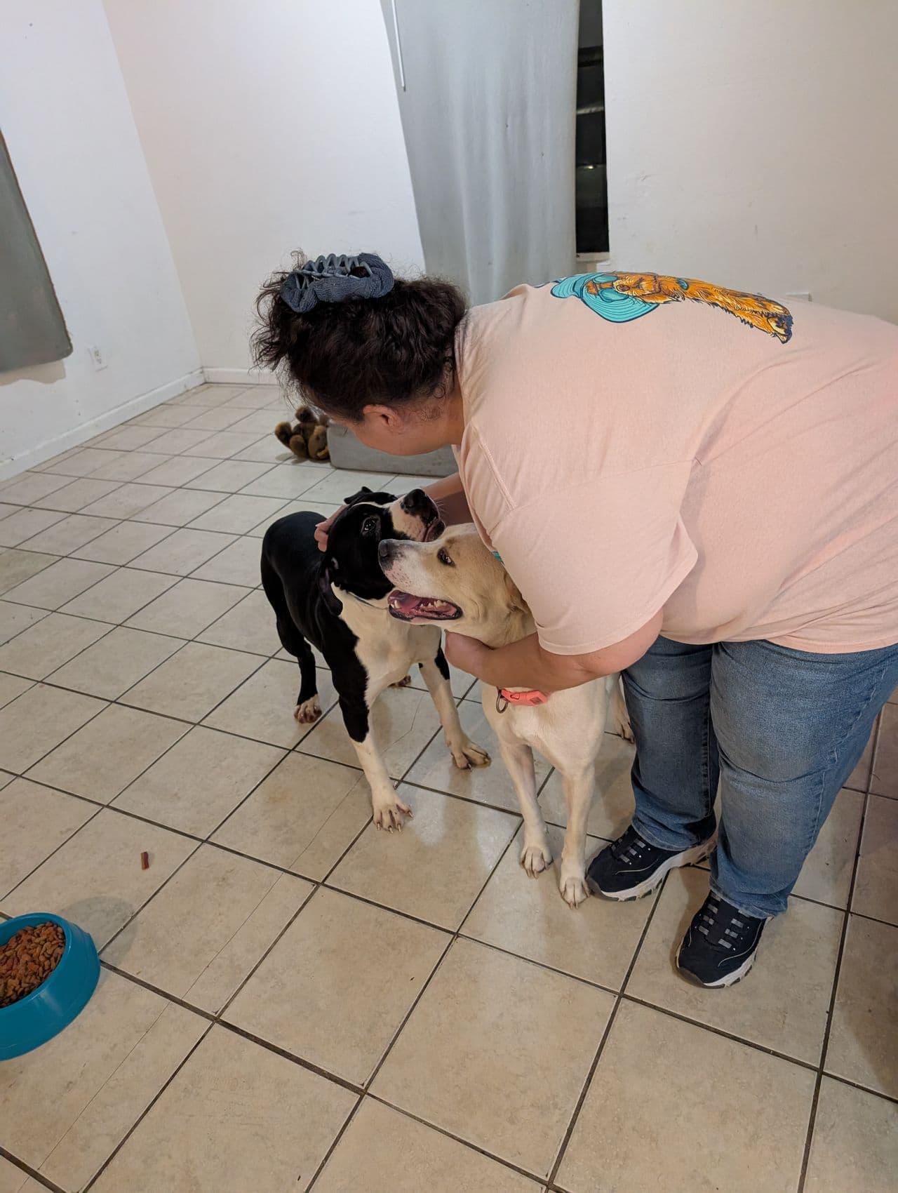 Pet travel photo 3