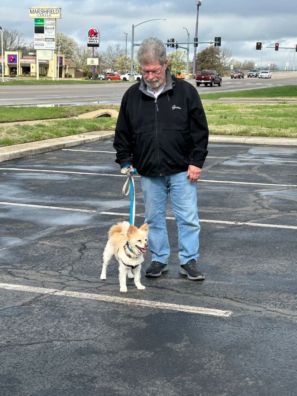 Pet travel photo 1