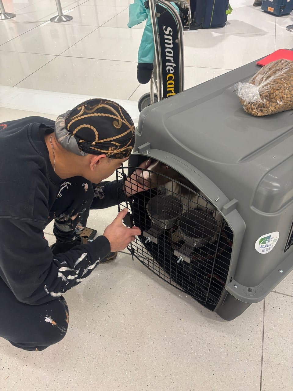 Pet travel photo 3