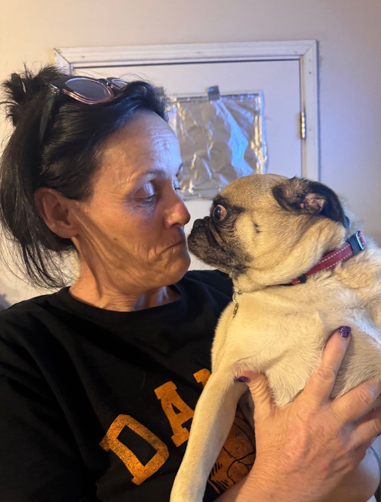 Pet travel photo 1