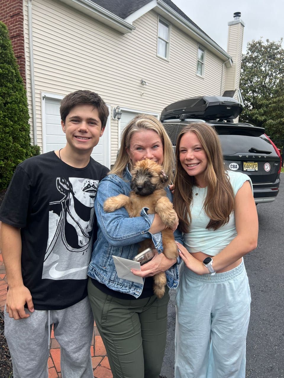 Pet travel photo 2