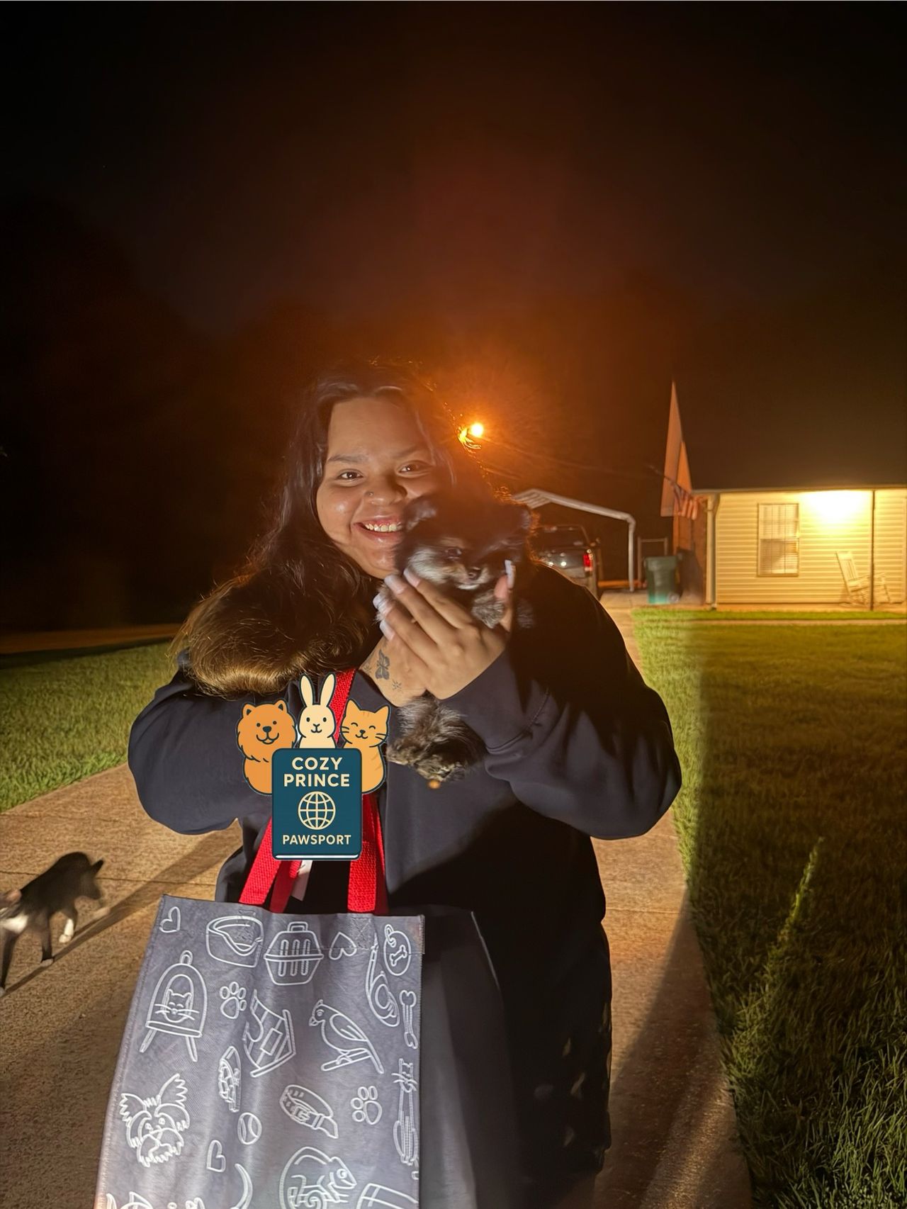 Pet travel photo 4