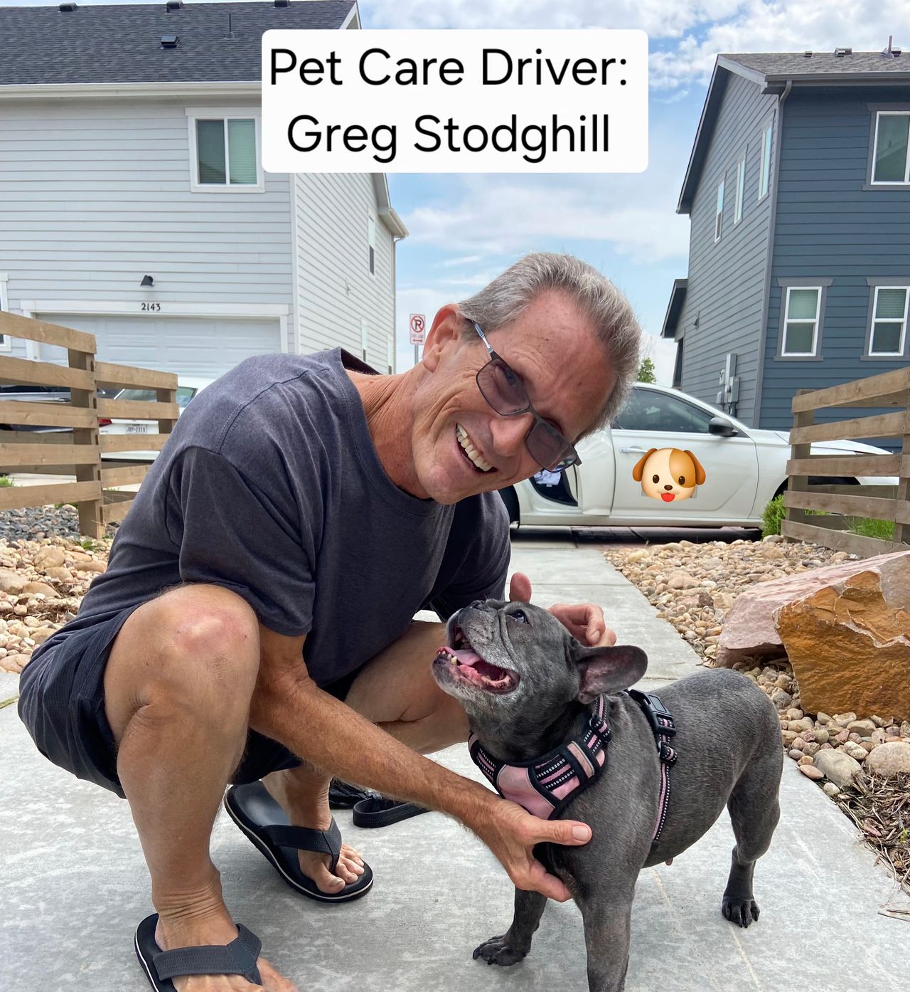 Pet travel photo 2