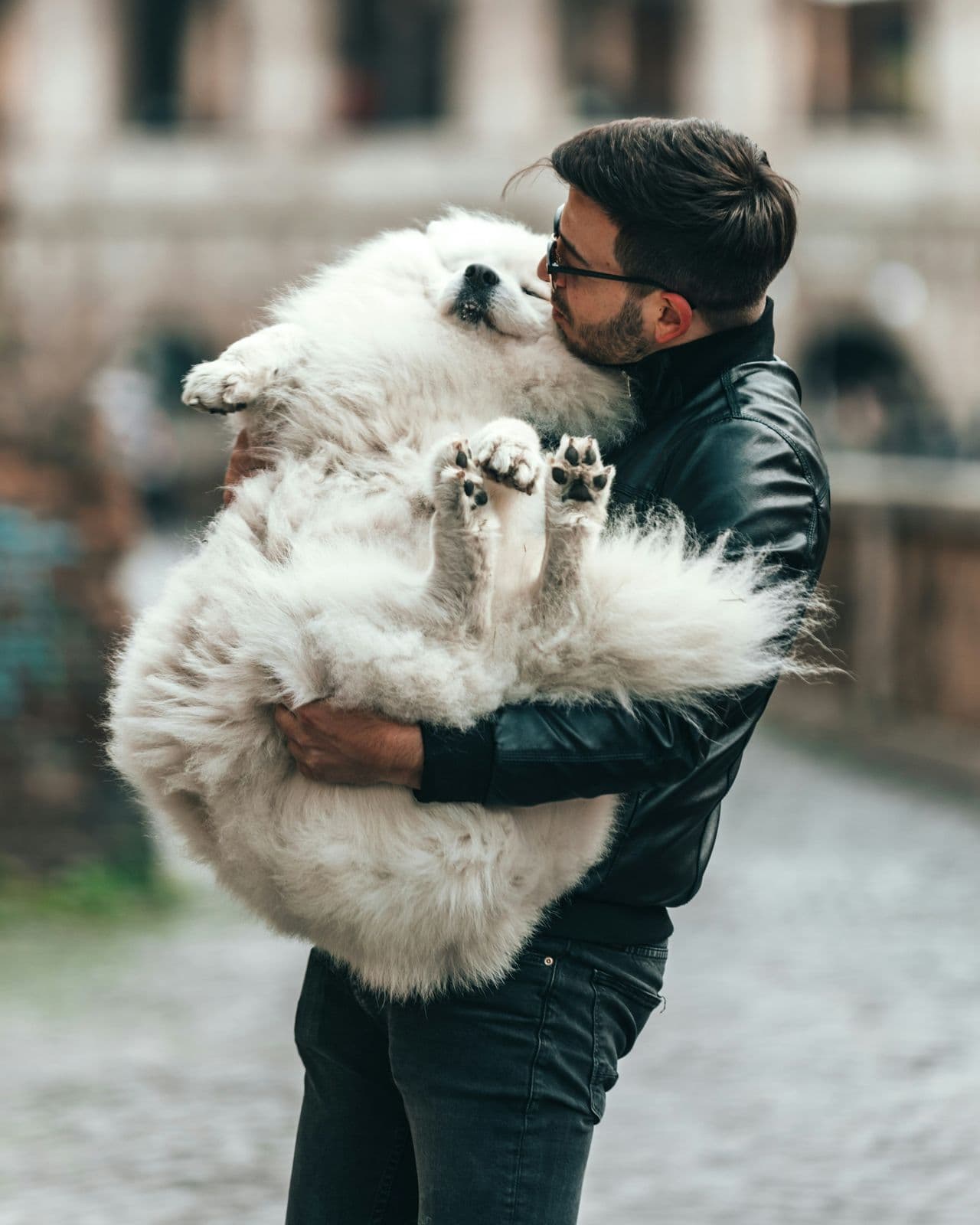 Pet travel photo 4