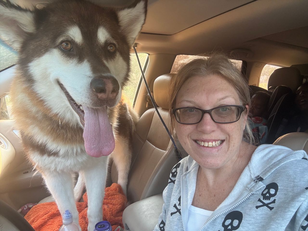 Pet travel photo 2
