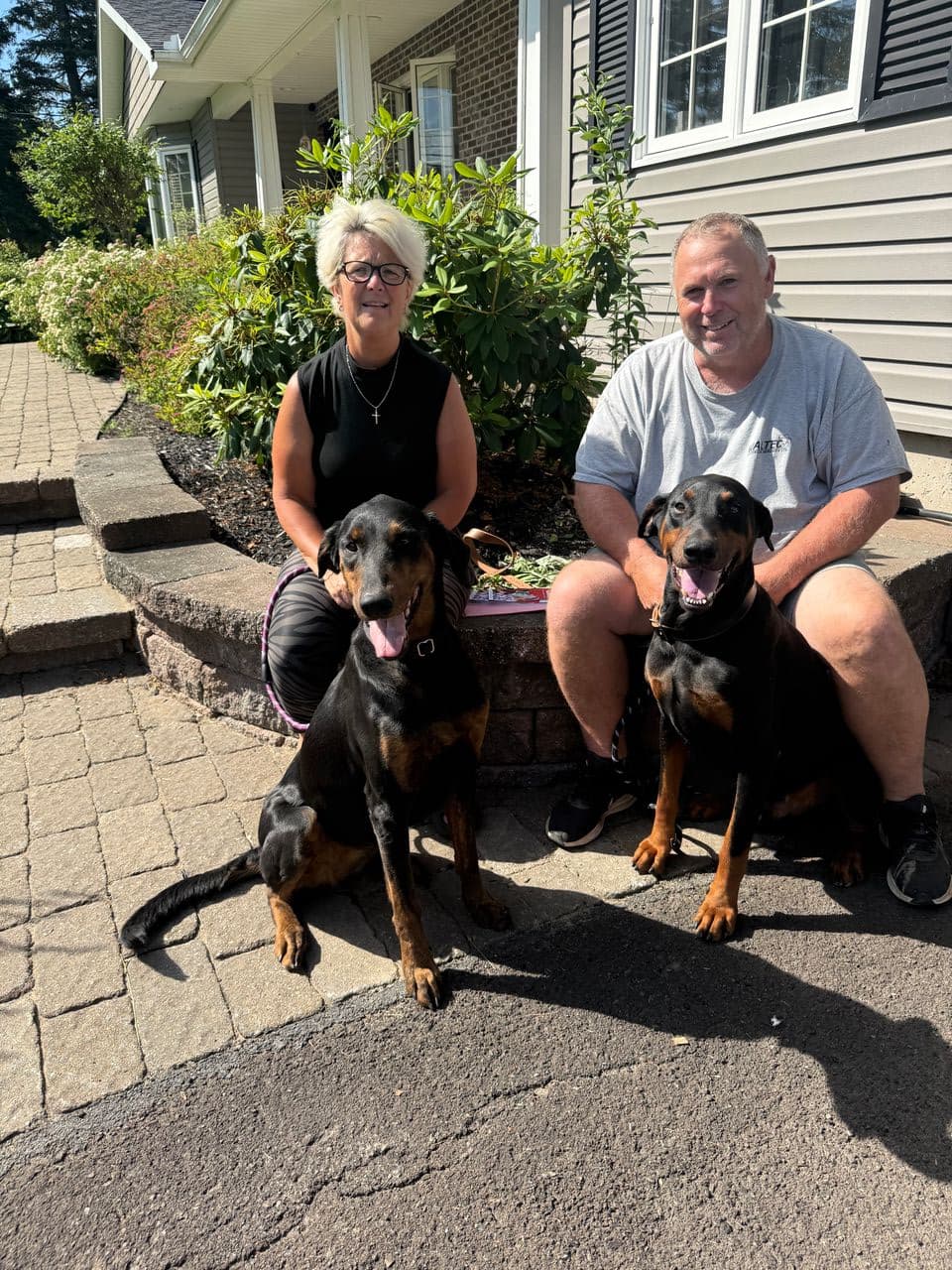 Pet travel photo 1