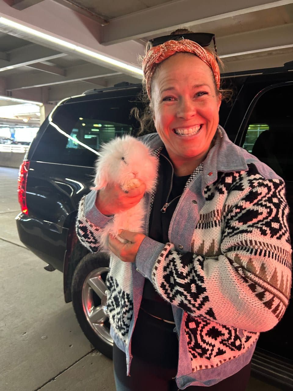 Pet travel photo 2