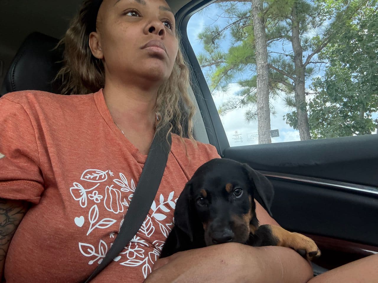 Pet travel photo 6