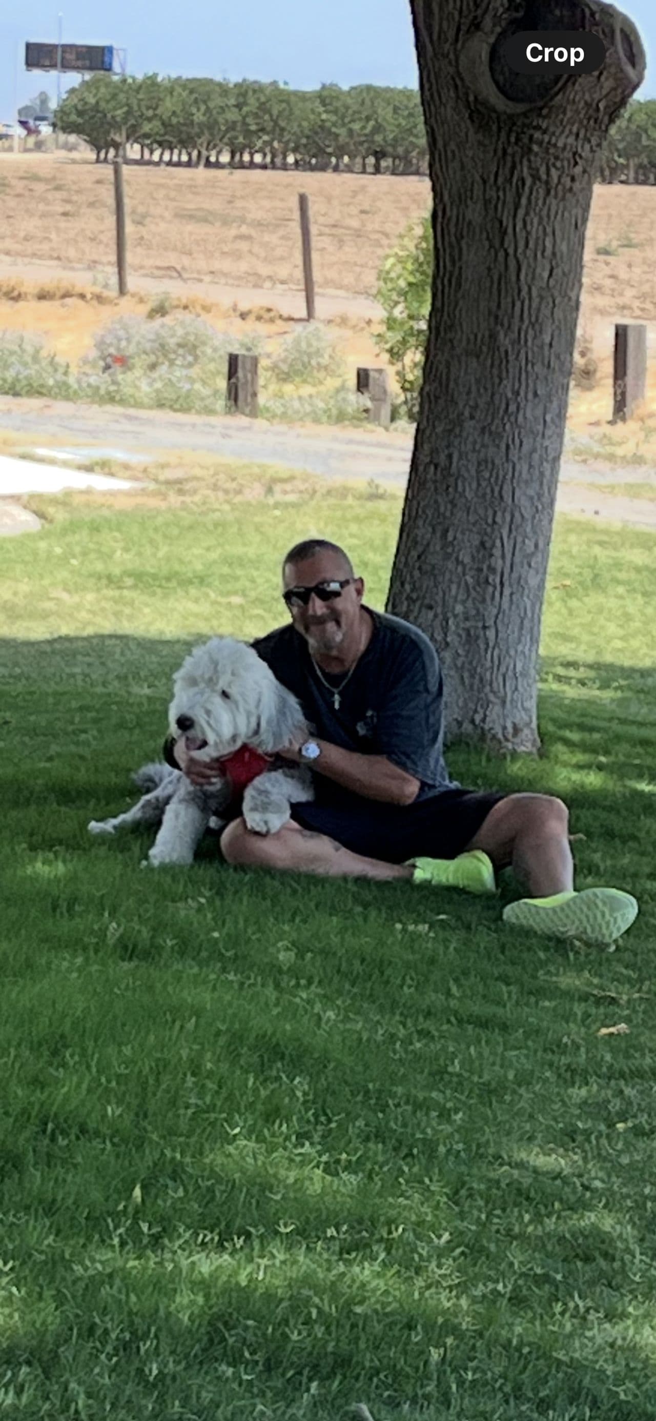 Pet travel photo 1