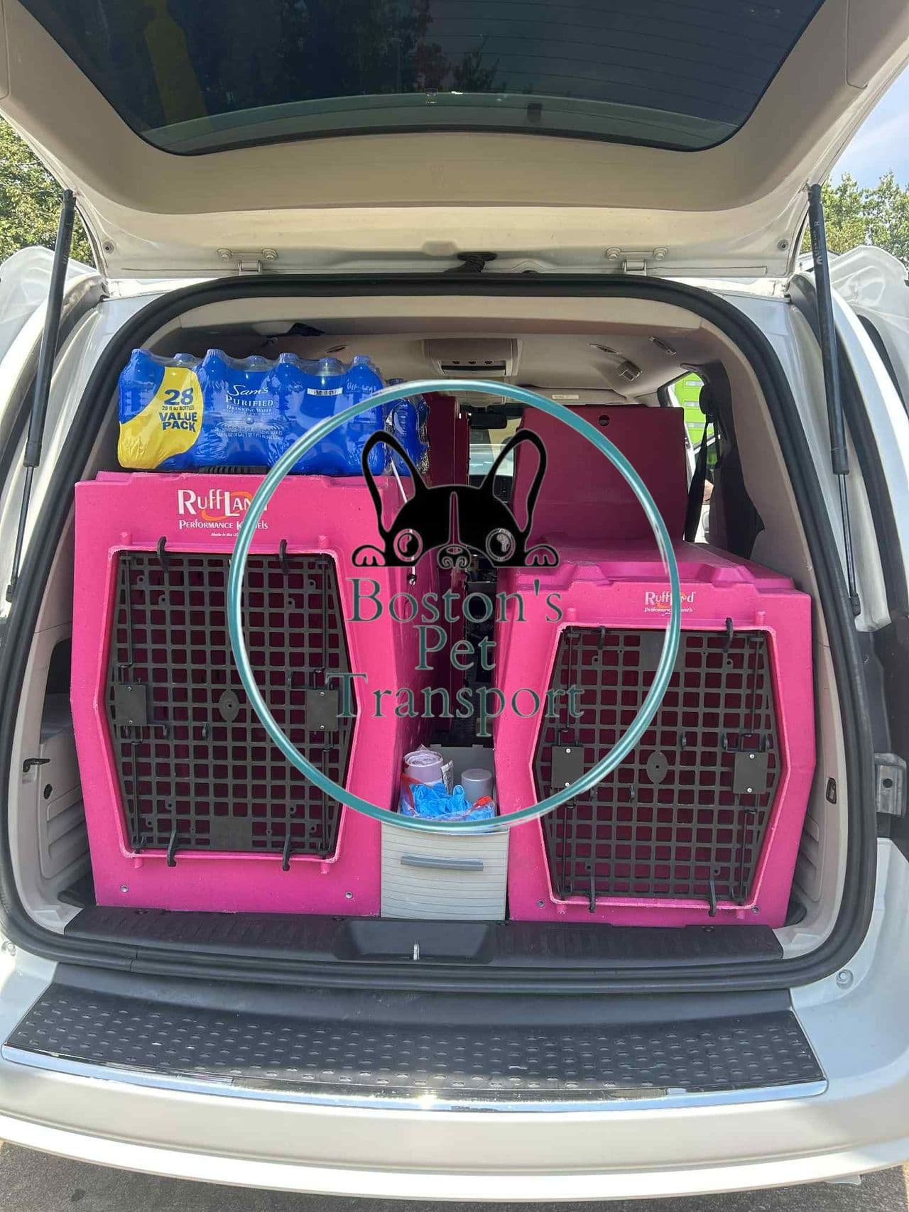 Pet travel photo 1