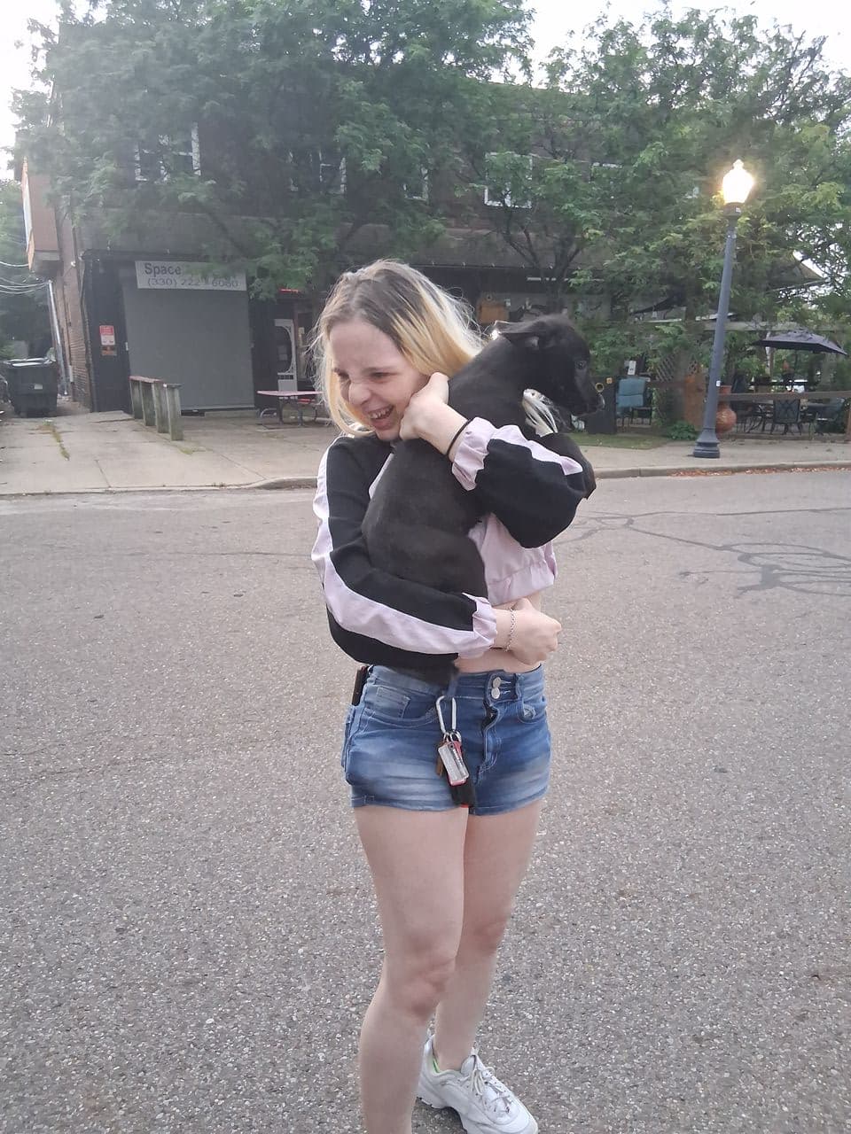 Pet travel photo 1